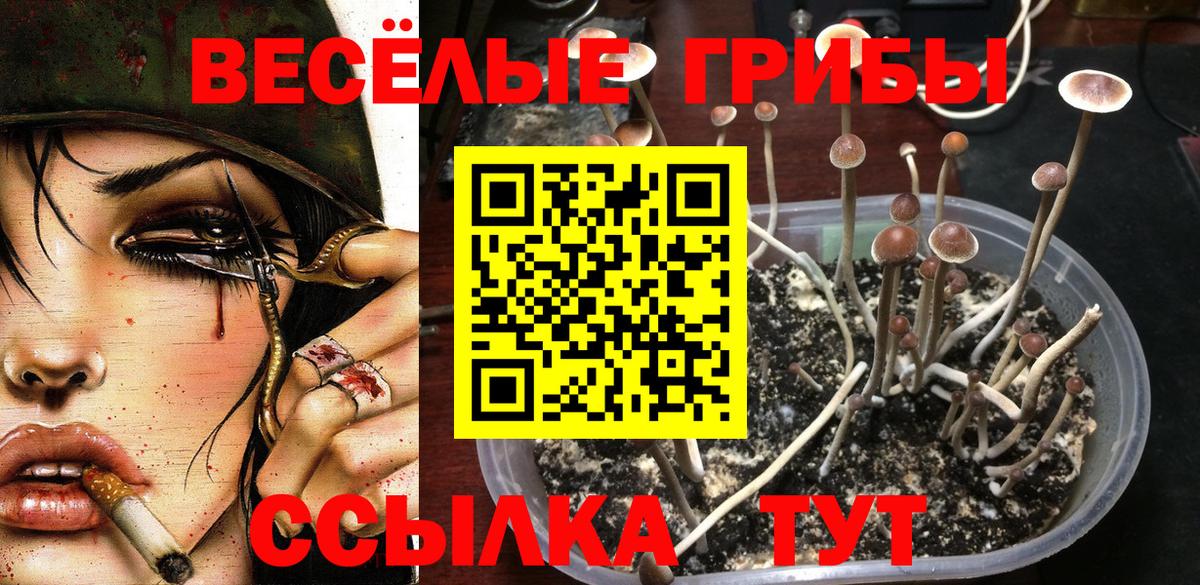 Ангарск  Галлюциногенные грибы GOLDEN TEACHER  Вход с VPN 